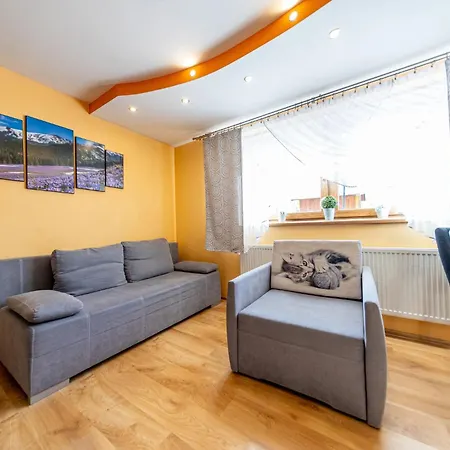 Topor Apartament Rodzinny Z Kominkiem I Placem Zabaw Koscielisko Zakopane Exterior foto