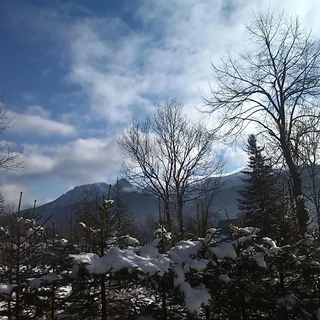 Topor Apartament Rodzinny Z Kominkiem I Placem Zabaw Koscielisko Zakopane Exterior foto