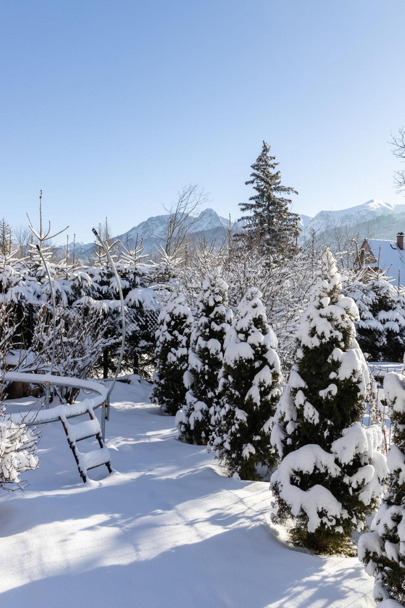 Apartment Topor Rodzinny Z Kominkiem I Placem Zabaw Zakopane