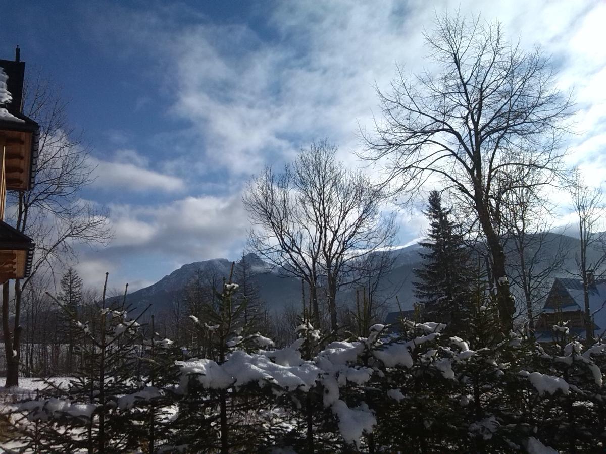 Topor Rodzinny Z Kominkiem I Placem Zabaw Zakopane * Kościelisko